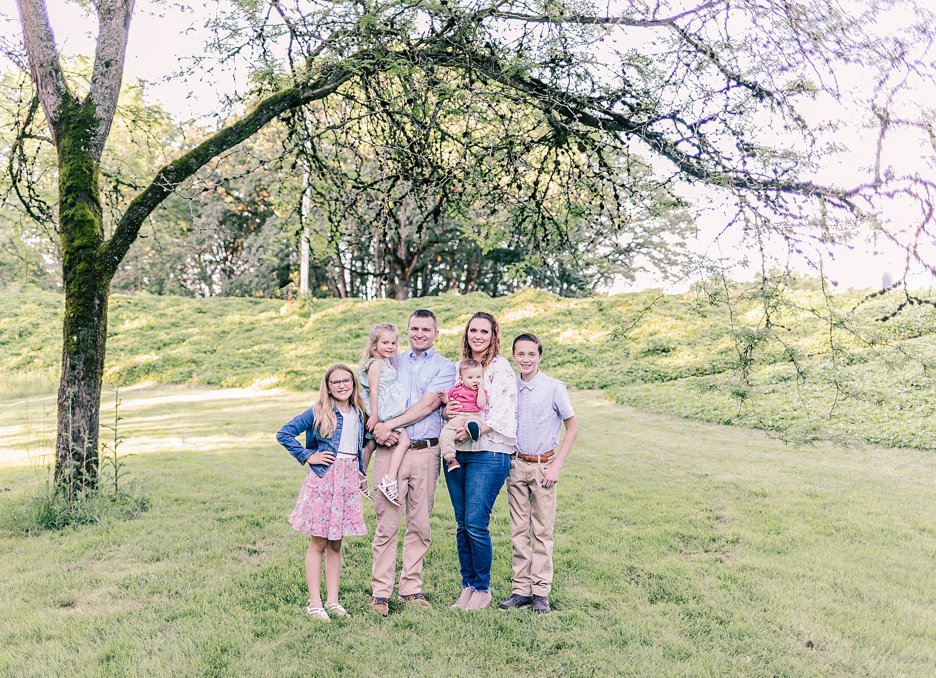 Light and Airy Albany Family Session under a tree