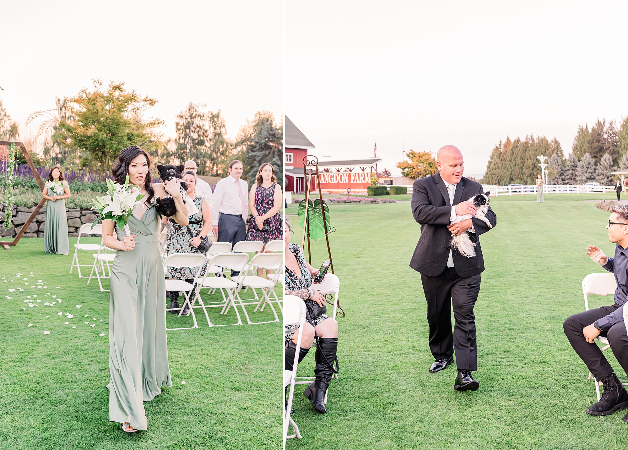 wedding party walking down aisle with dogs