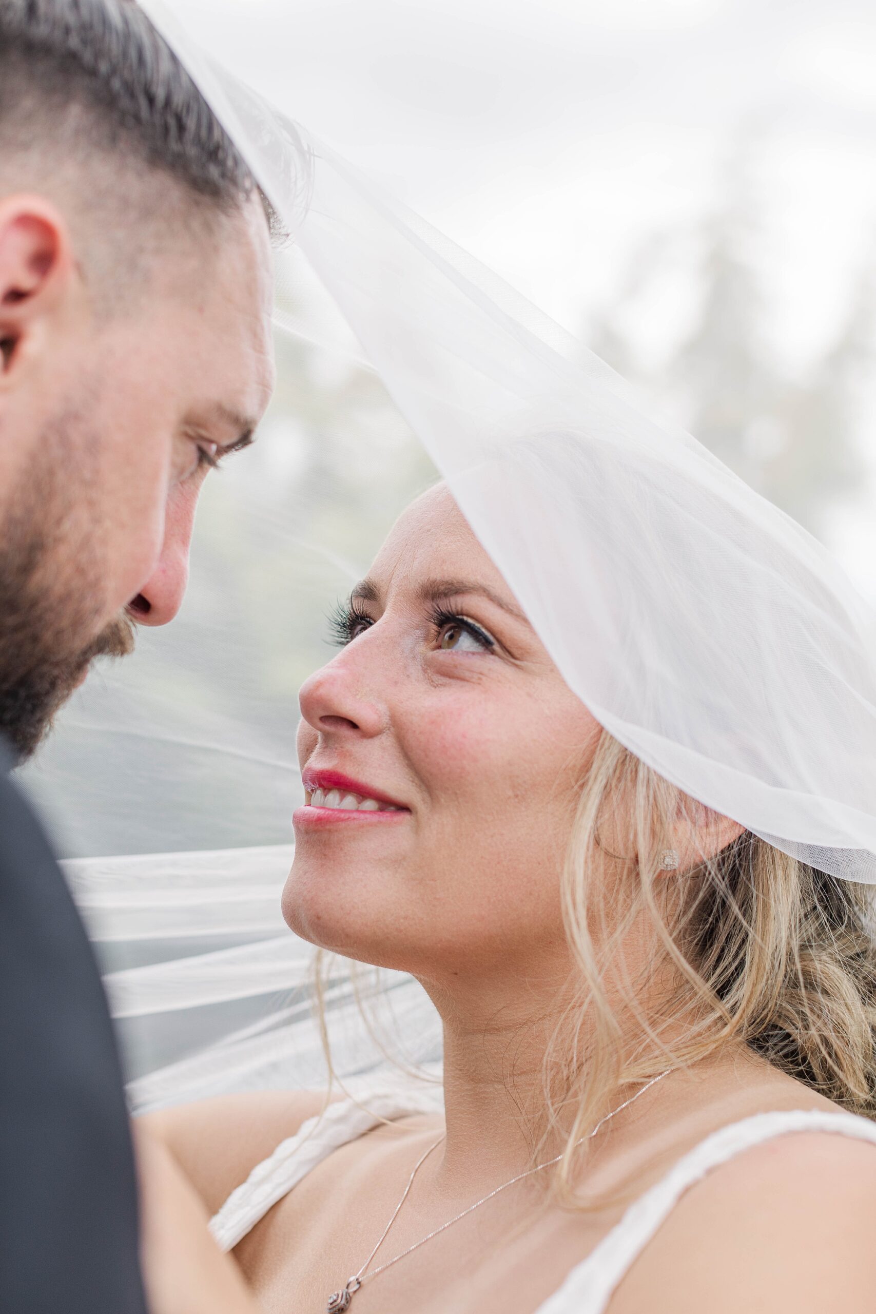 newlyweds under bride's veil