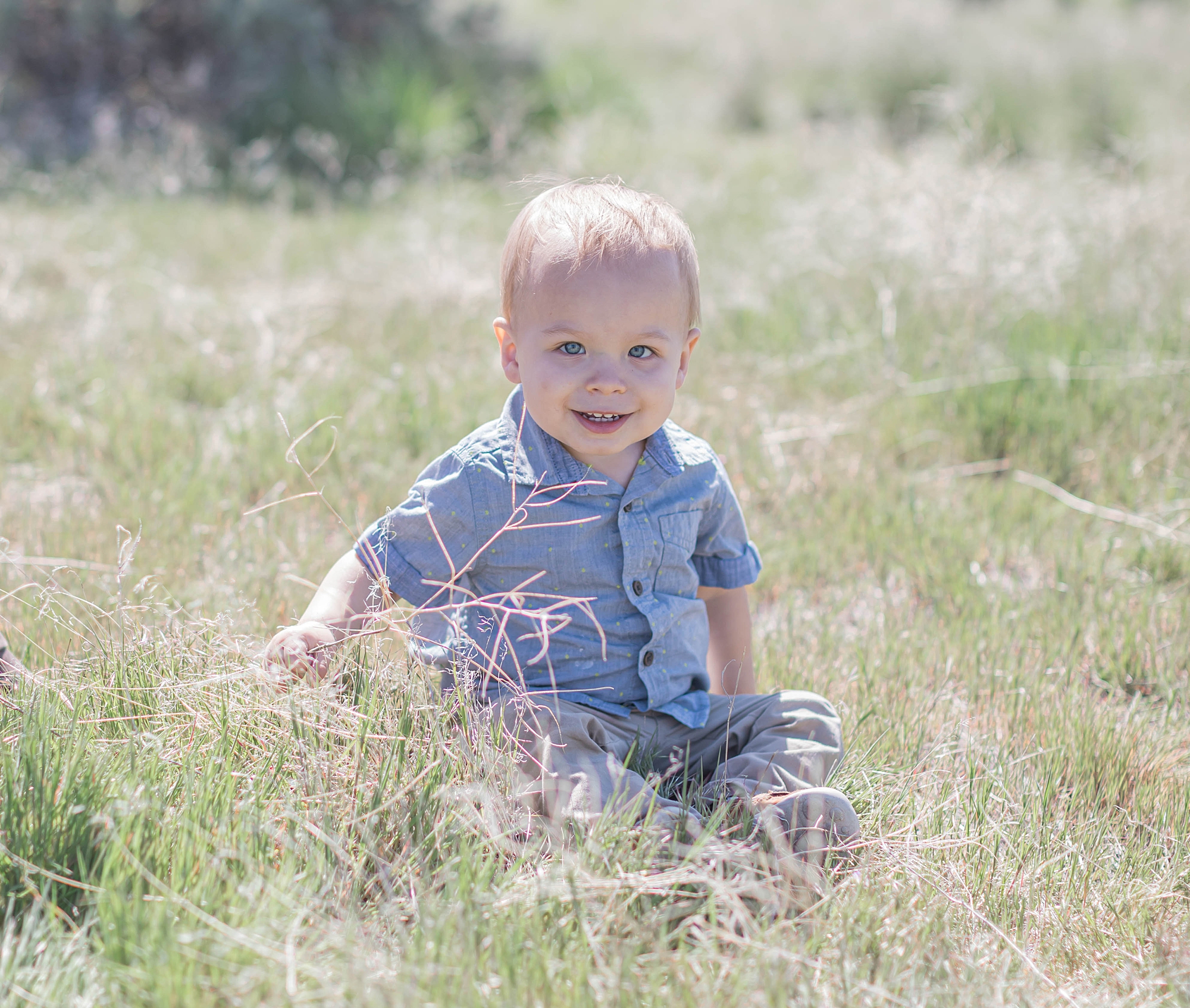 little boy sits in tall grass